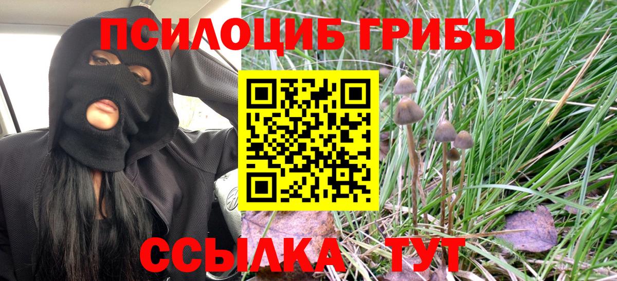 Апшеронск  Галлюциногенные грибы мицелий  Вход с VPN 